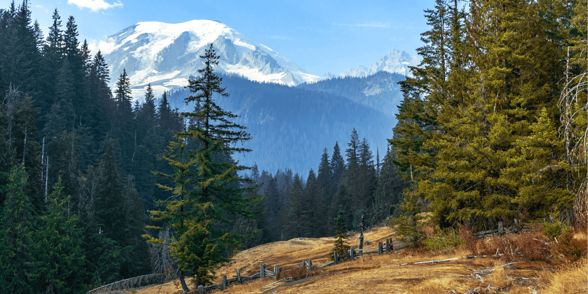 MT Rainier one of the best hikes in the US for backpacking trips
