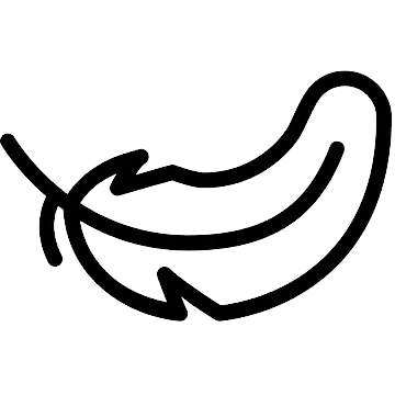 Feather icon
