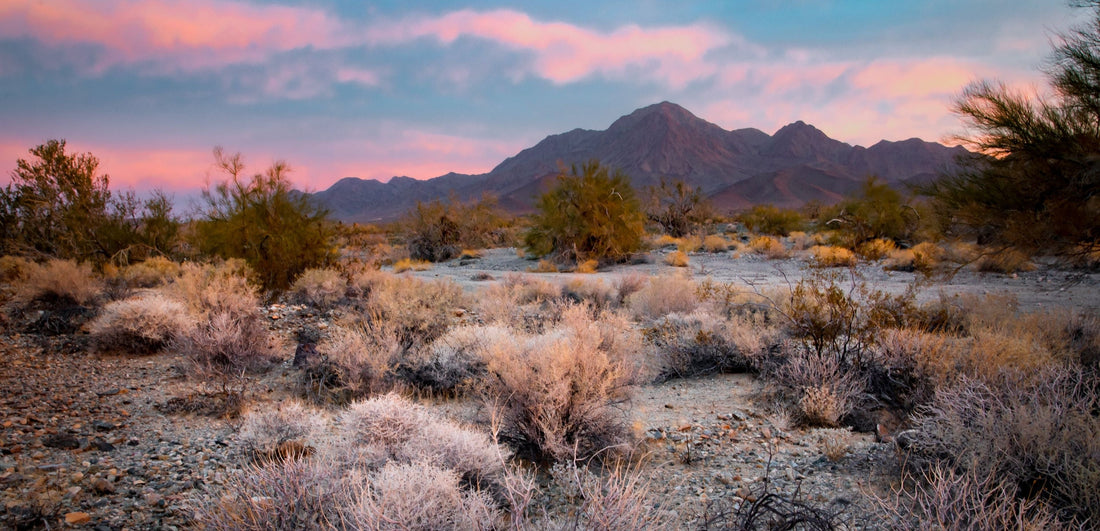 Built for the Backcountry. Fighting for It, Too.