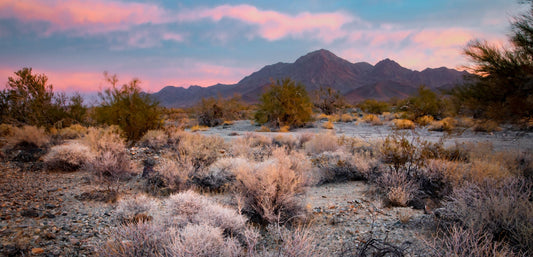 Built for the Backcountry. Fighting for It, Too.