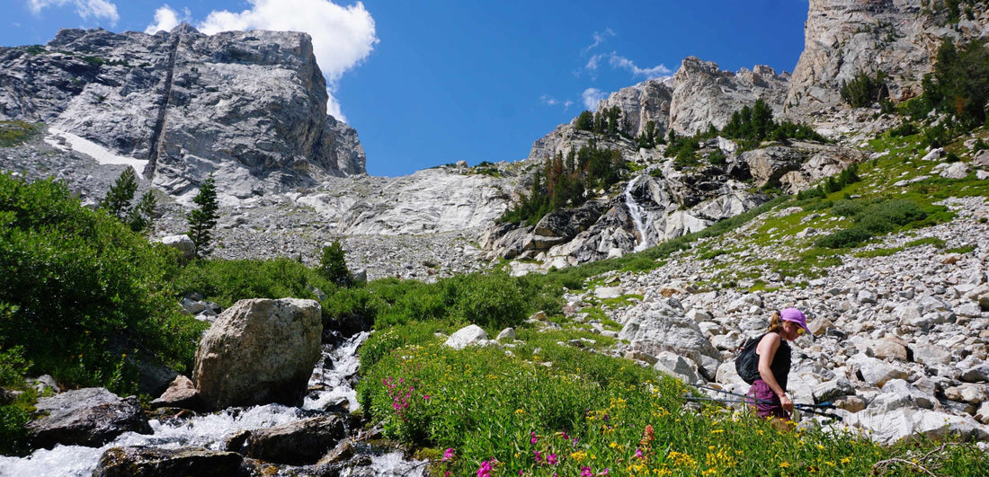 How Zoe fueled the Teton Picnic